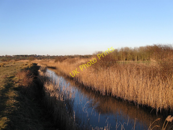 Photo 6"x4" Cole Stream Norman's Bay c2010