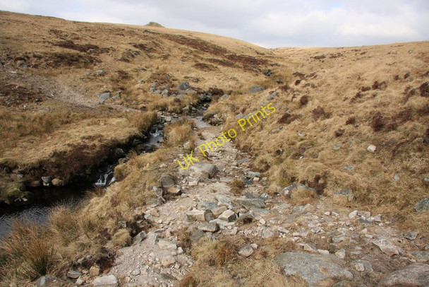 Photo 6"x4" Ford on Rattle Brook Shortacombe\/SX5286 c2010