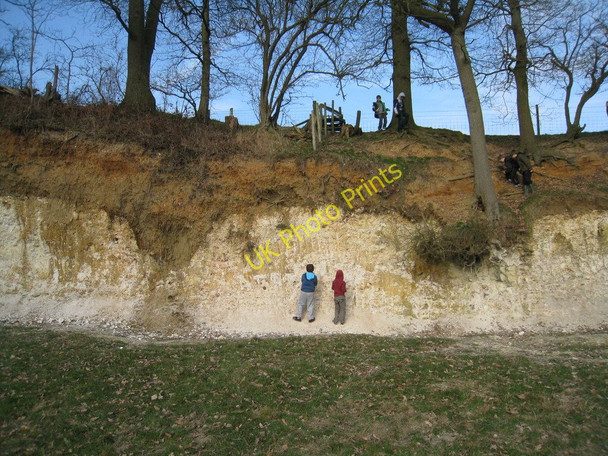 Photo 6"x4" Exposed chalk face Rotten Row\/SU5871 c2010