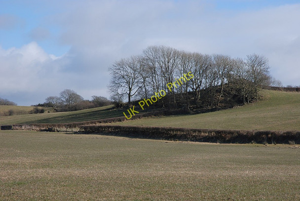 Photo 6"x4" Fields near Cwrtycwm Chancery\/Rhydgaled c2010