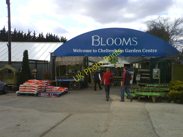 Photo 6"x4" Blooms Garden Centre near Prestbury Park Brockhampton\/SO9426 c2010