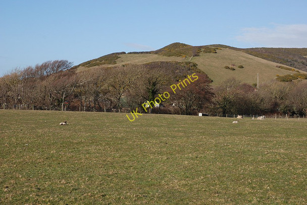 Photo 6"x4" Grazing land west of Llanrhystud Llanrhystud c2010