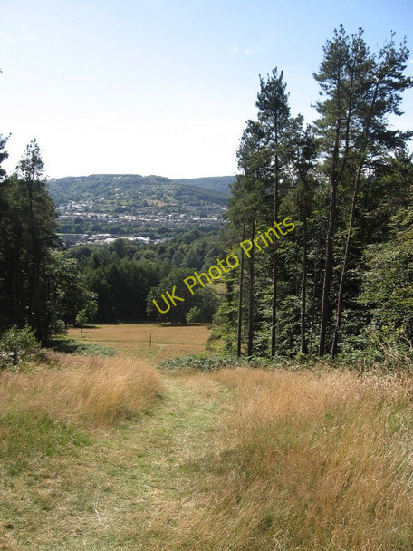 Photo 6"x4" Path from the Shell Grotto Pontypool\/Pont-y-pwl c2008