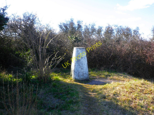 Photo 6"x4" Trig point, on Berry Head Brixham c2010
