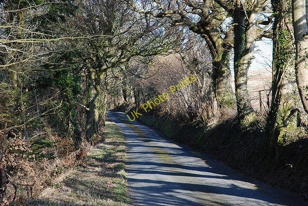 Photo 6"x4" Minor road above Cwm Wyre Ty-Newydd\/SN5468 c2010