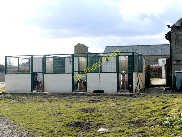 Photo 6"x4" Kennels, Longwitton Dene Longwitton c2010