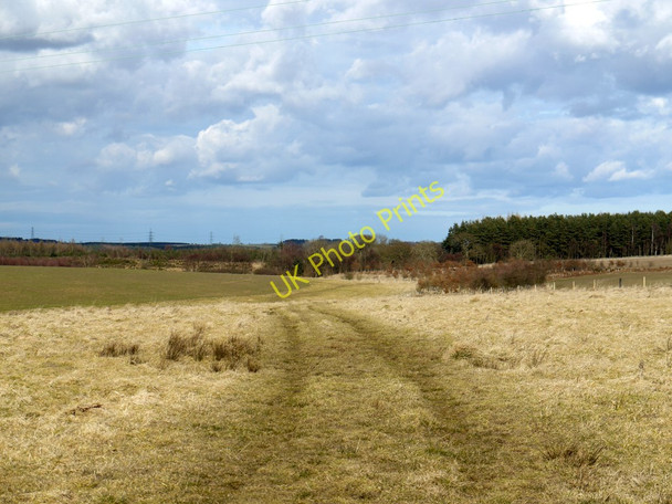Photo 6"x4" Bridleway on line of Devil's Causeway Longwitton c2010