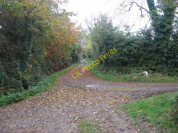 Photo 6"x4" Rath, County Dublin Stamullin c2009