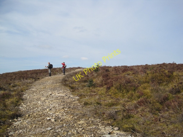 Photo 6"x4" Bridleway on Black Belling Hawkhope\/NY7188 c2010