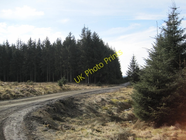 Photo 6"x4" Forestry Road near Bellingburn Head Hawkhope\/NY7188 c2010
