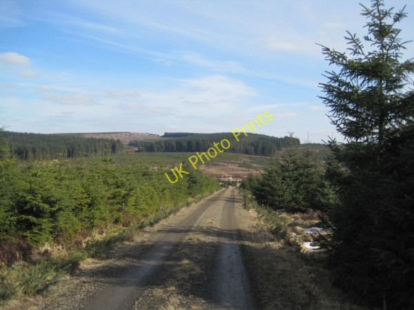 Photo 6"x4" Forestry Road near Long Rigg Long Rigg\/NY6891 c2010