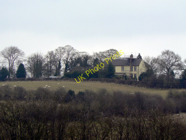 Photo 6"x4" Measham Firs Measham c2010