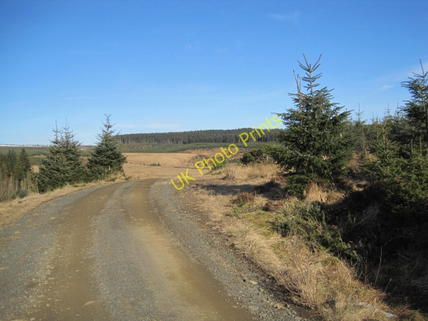 Photo 6"x4" Forestry Road towards Wainhope Butteryhaugh c2010 P1