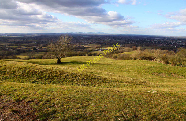 Photo 6"x4" View across a field on Leckhampton Hill Leckhampton c2010