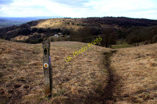 Photo 6"x4" The Cotswold Way on Barrow Wake Shab Hill c2010