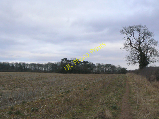 Photo 6"x4" Ivanhoe Way near Snarestone Snarestone c2010