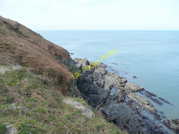 Photo 6"x4" Shag Point Lee\/SS4846 c2010