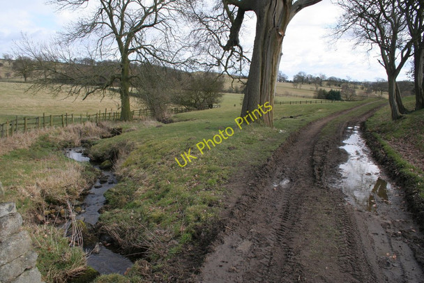 Photo 6"x4" Bridleway near Stainburn Stainburn\/SE2448 c2010