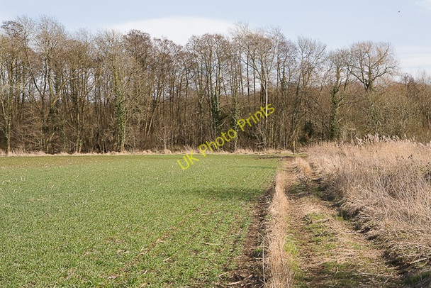 Photo 6"x4" Approaching public footpath in the corner of this field Eastleigh\/SU4519 c2010