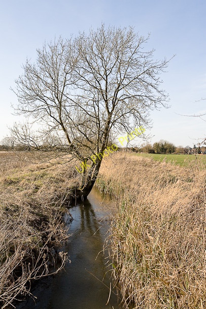 Photo 6"x4" Drainage ditch south of Bishopstoke Eastleigh\/SU4519 c2010