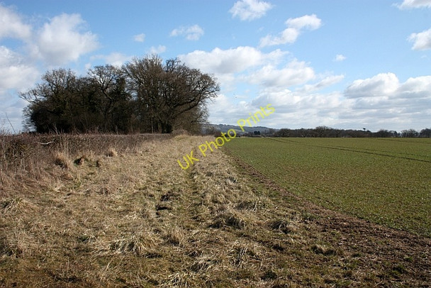 Photo 6"x4" Black Covert Hill Croome c2010