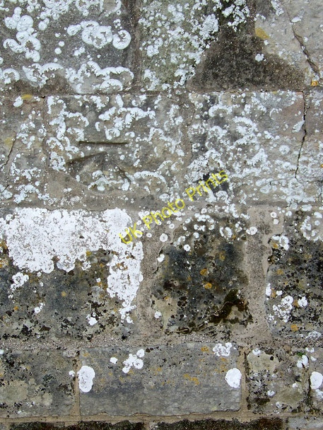 Photo 6"x4" Bench Mark, Martin East Martin c2010