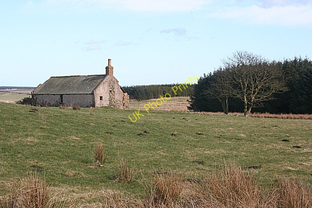 Photo 6"x4" Derelict Cottage Muirtack c2010