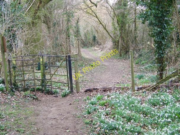 Photo 6"x4" Kissing gate and footpath, Damerham Damerham c2010