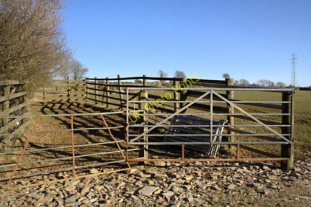 Photo 6"x4" Cattle Pen by the Field Gate Tramagenna c2010