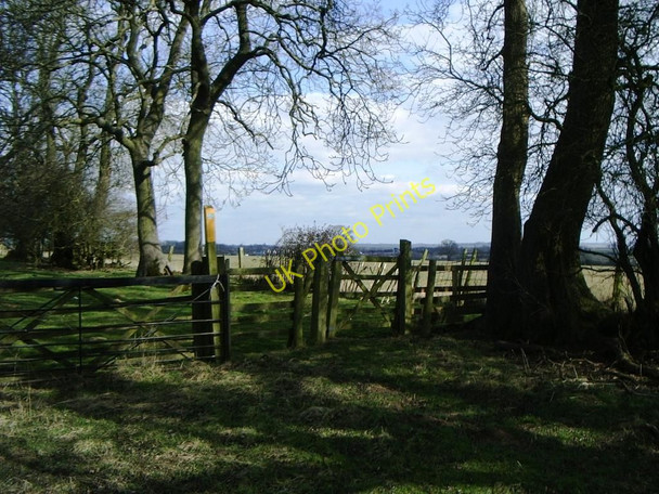 Photo 6"x4" Treeline, bridleway from A5 Catthorpe c2010