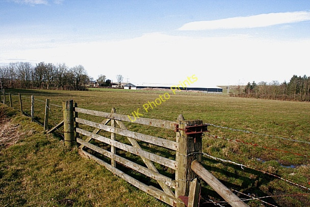 Photo 6"x4" Easterton of Lenabo Clola c2010