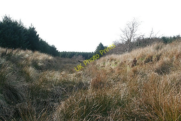 Photo 6"x4" Unnamed Burn Hatton\/NK0537 c2010
