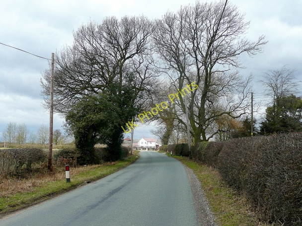 Photo 6"x4" Drayton Lane Carroway Head c2010