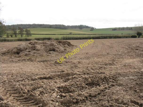 Photo 6"x4" Towards Tars Wood Lucton c2010