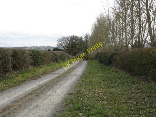 Photo 6"x4" Track Beyond Aberkirk Farm Gosford\/SO5368 c2010