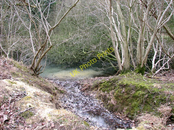 Photo 6"x4" Small stream discharging into a pond Illington c2010