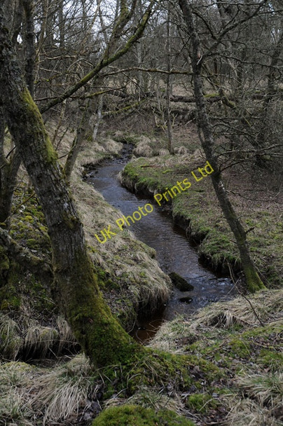 Photo 6"x4" Gelly Burn Muir of Thorn Murthly c2008