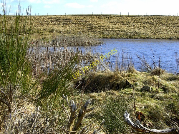 Photo 6"x4" Farm pond at Easter Heathfield Badachonacher c2010