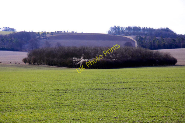 Photo 6"x4" Looking over a field towards the Ridgeway East Ginge c2010