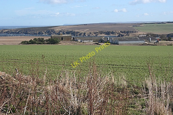 Photo 6"x4" Broom Farm Sandend c2010
