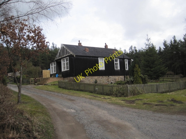 Photo 6"x4" Lightwater Cottages, Dipton Wood Lee\/NY9459 c2010