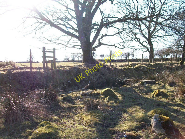 Photo 6"x4" Stile and footbridge on the path to Rhoslan Rhoslan c2008