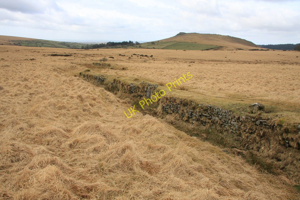Photo 6"x4" Field boundary Sheepstor c2010