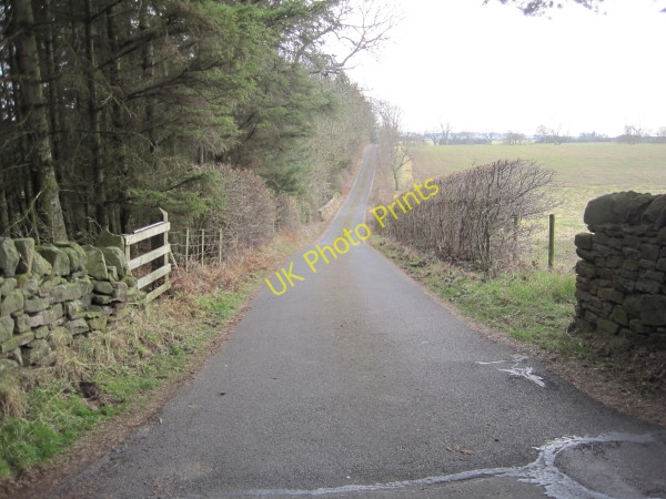 Photo 6"x4" Farm Road and Footpath to Slaley. Lee\/NY9459 c2010