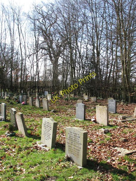 Photo 6"x4" St Andrew's church - churchyard Thelveton c2010