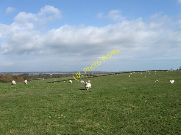 Photo 6"x4" Wood Plot Mill Hill\/TQ6205 c2010