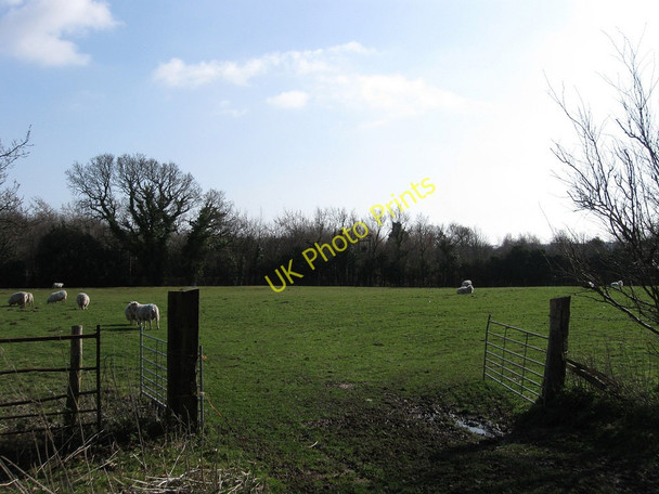 Photo 6"x4" The Croft Mill Hill\/TQ6205 c2010