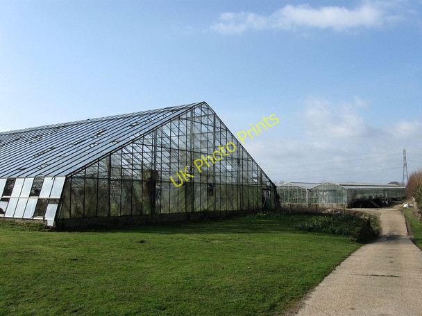 Photo 6"x4" Hankham Nurseries Mill Hill\/TQ6205 c2010