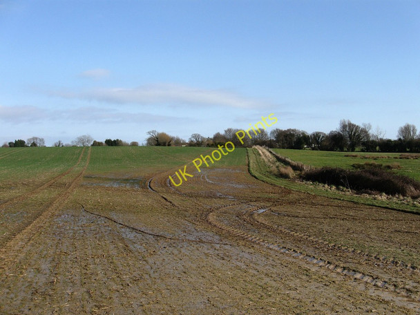 Photo 6"x4" Ten Acres Hankham c2010