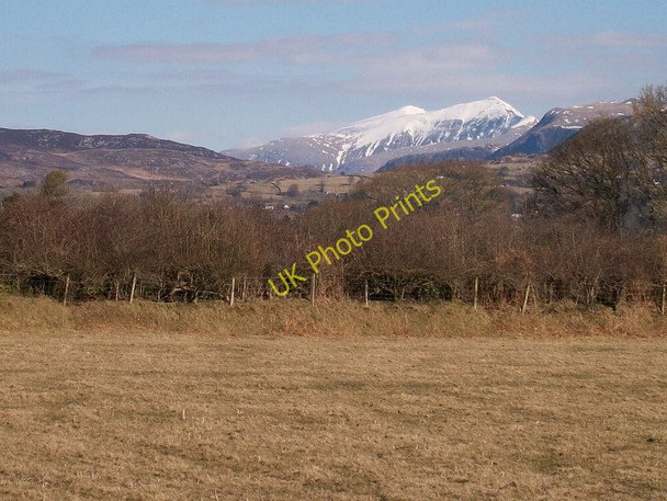 Photo 6"x4" Farmland and woodland at Ynys Rhoslan c2010